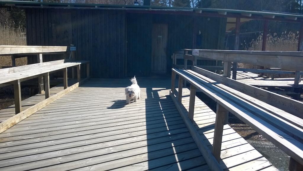 Lomakeskus Koivukankare カーリナ エクステリア 写真